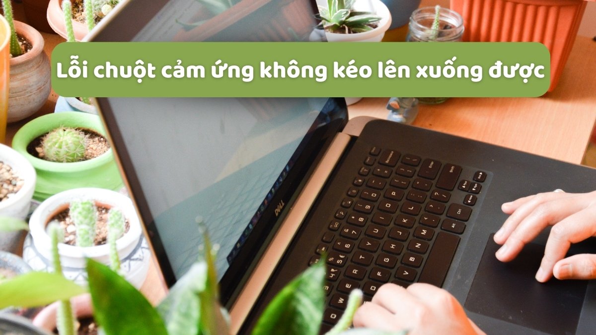 Khắc phục triệt để lỗi chuột cảm ứng không kéo lên xuống được